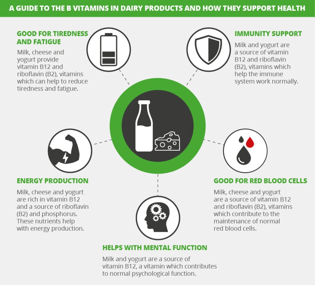 Infographic showing a guide to the B vitamins in dairy products and how they support health.