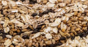 A close up of different wholegrains