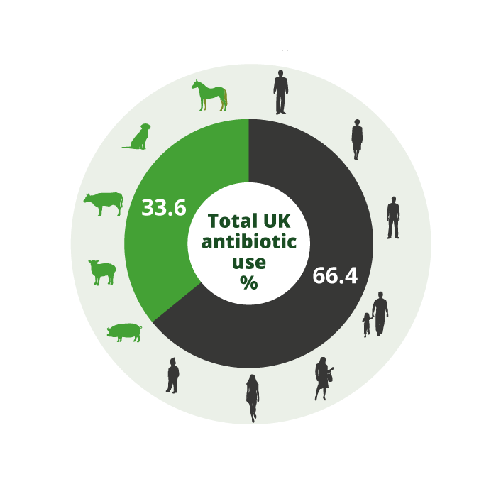 33.6% of UK antibiotic use is for 1bn farm animals and 62m pets and horses