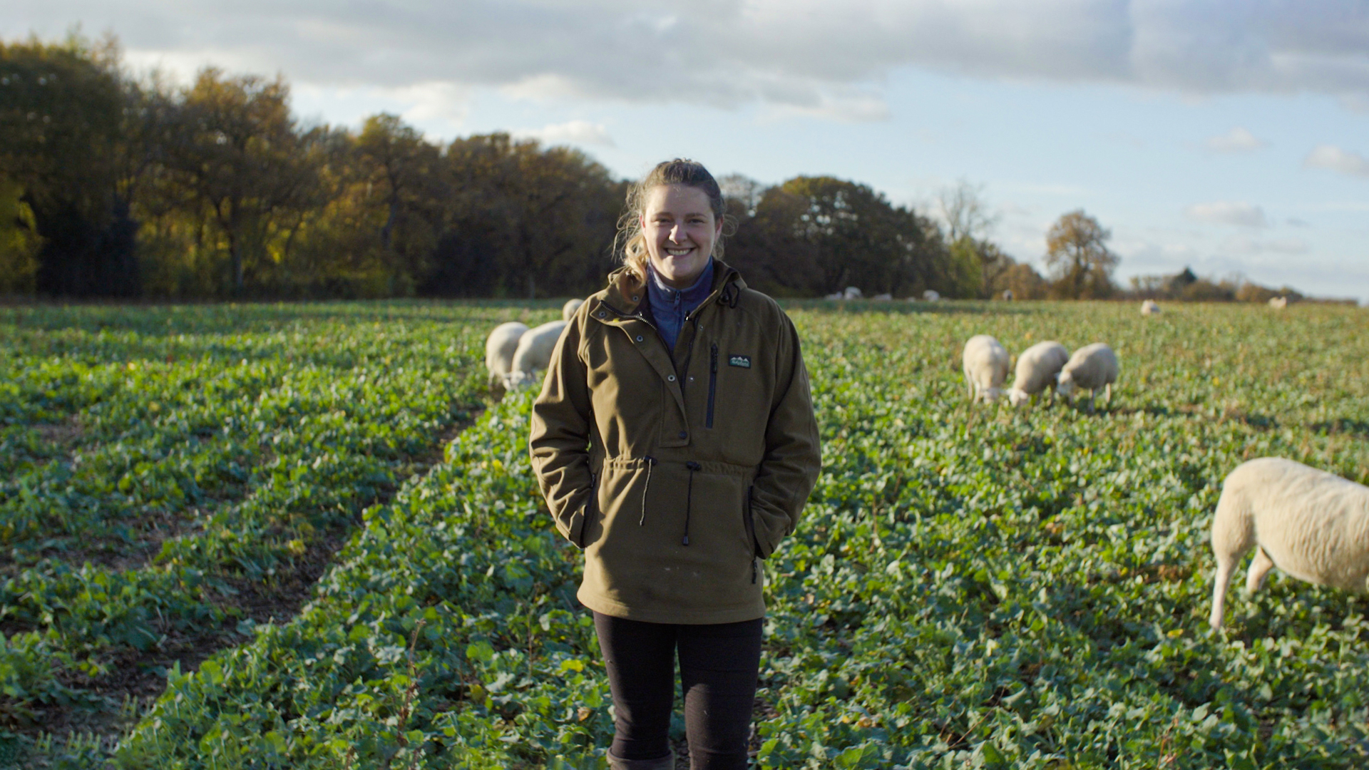 UK farmer in her crop field with sheep grazing